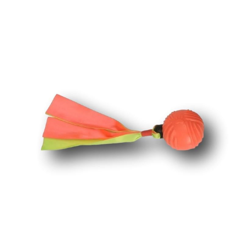 Camon TPE Ball mit Bänder mit Spueaker (Farbe unbestimmt)