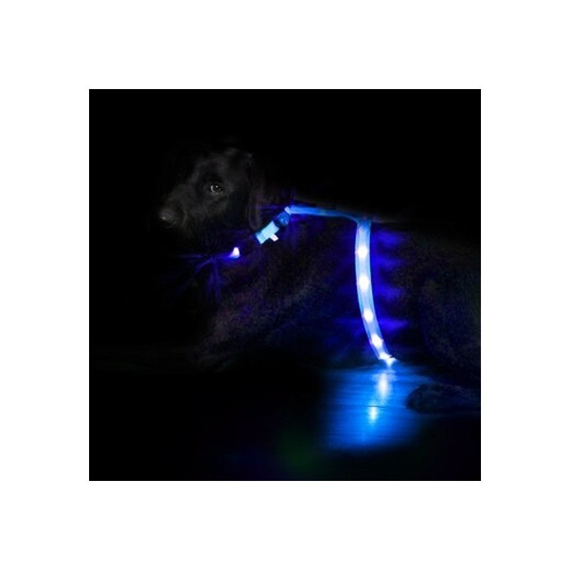 LED-Hundegeschirr Ninja3 Blau