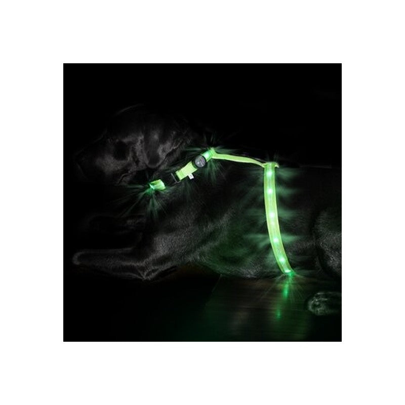 LED-Hundegeschirr Ninja3 Grün