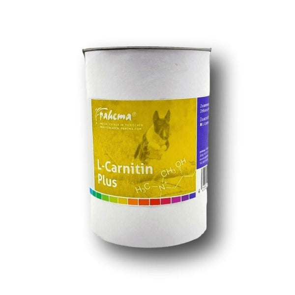 l-carnitin fr hunde Carni-Fortan Pulver mit & Taurin 80 g online kaufen CaniVet Cardio Liquid