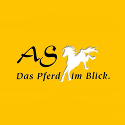 AS Das Pferd im Blick