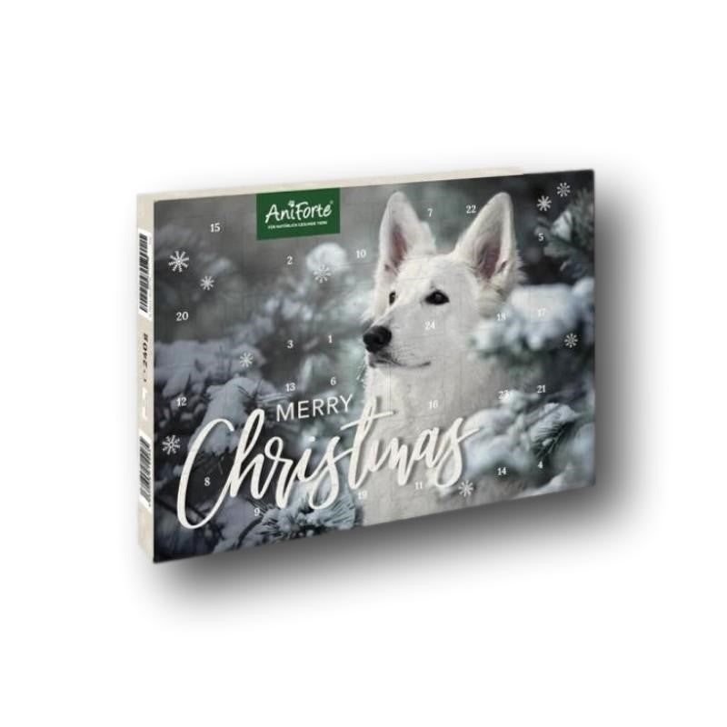 AniForte Adventskalender Hund