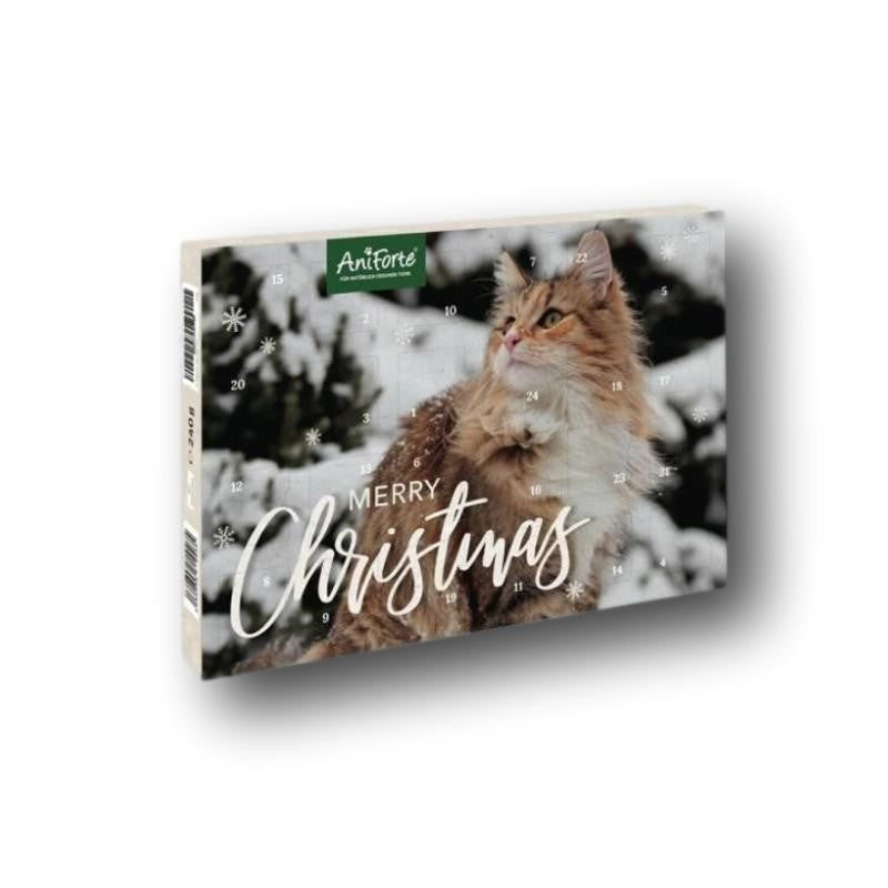 AniForte Adventskalender Katzen