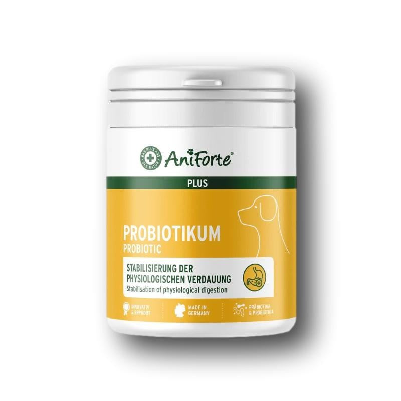 Grey Intestinal Plus