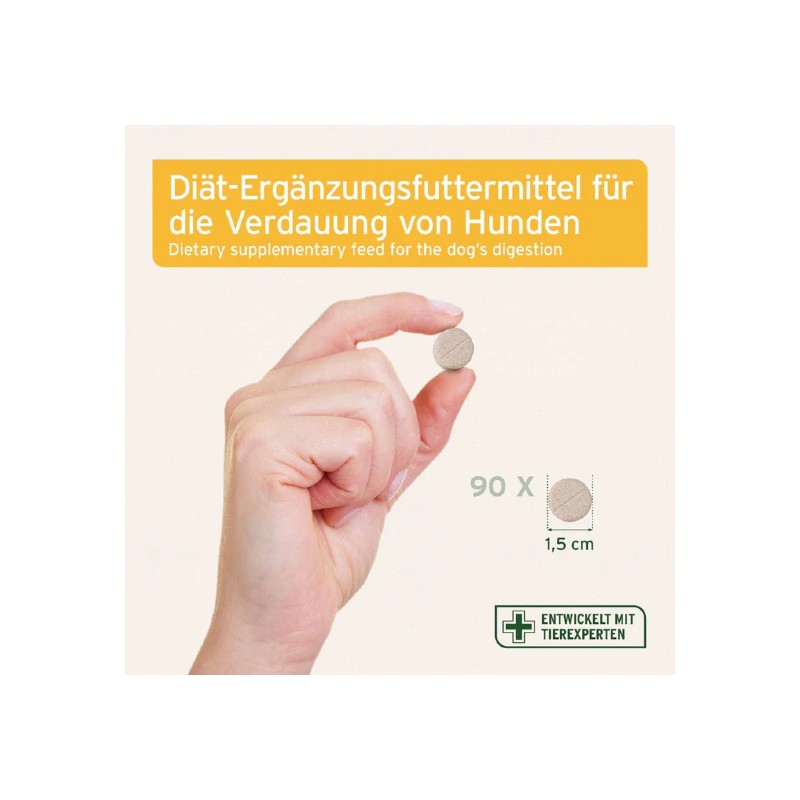 Grey Intestinal Plus