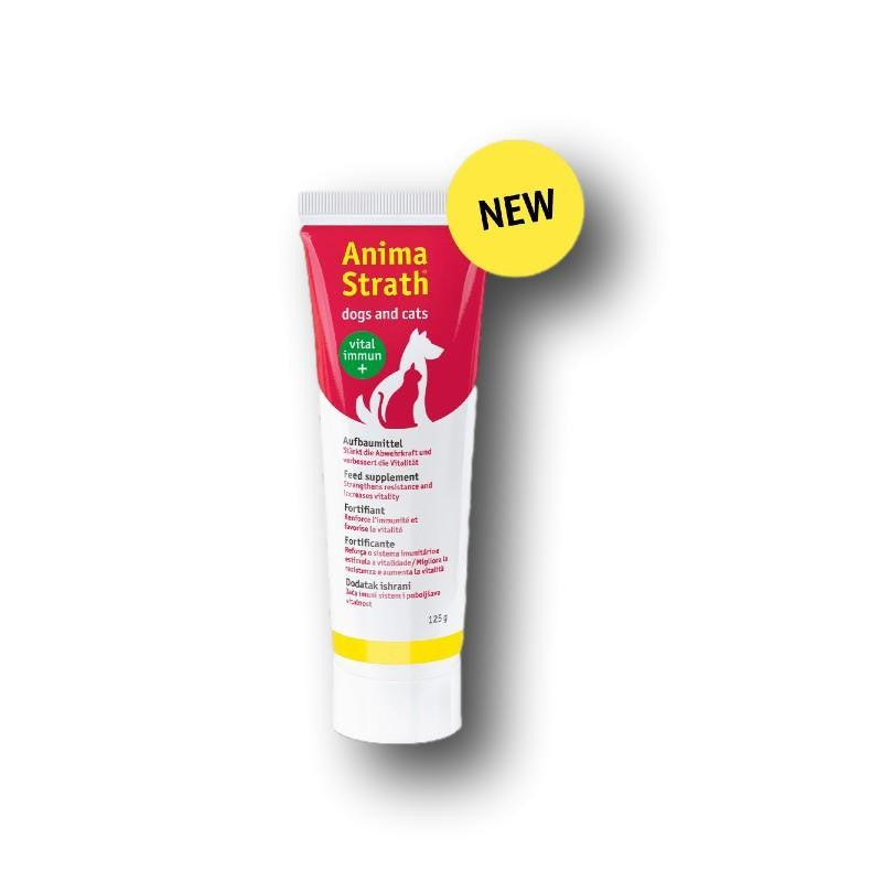 Anima-Strath Aufbaumittel Paste