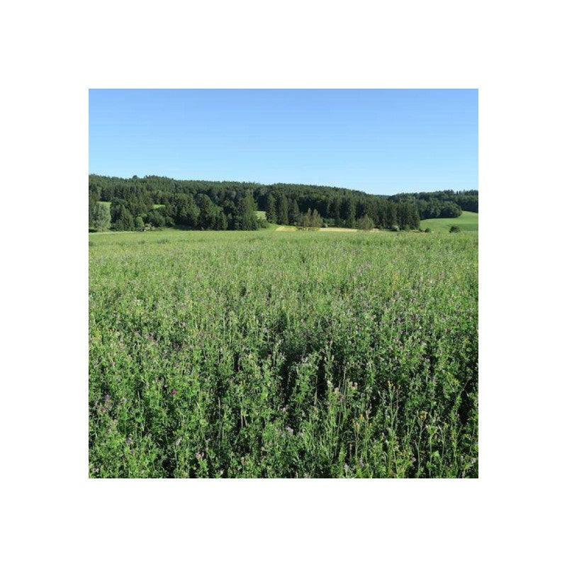 Organic alfalfa pellets Topline low sugar
