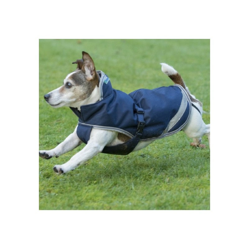 Bucas- Hundemantel Freedom Dog