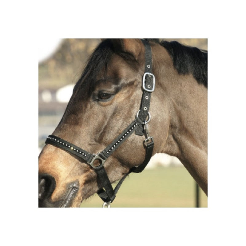 Halfter Diamond schwarz