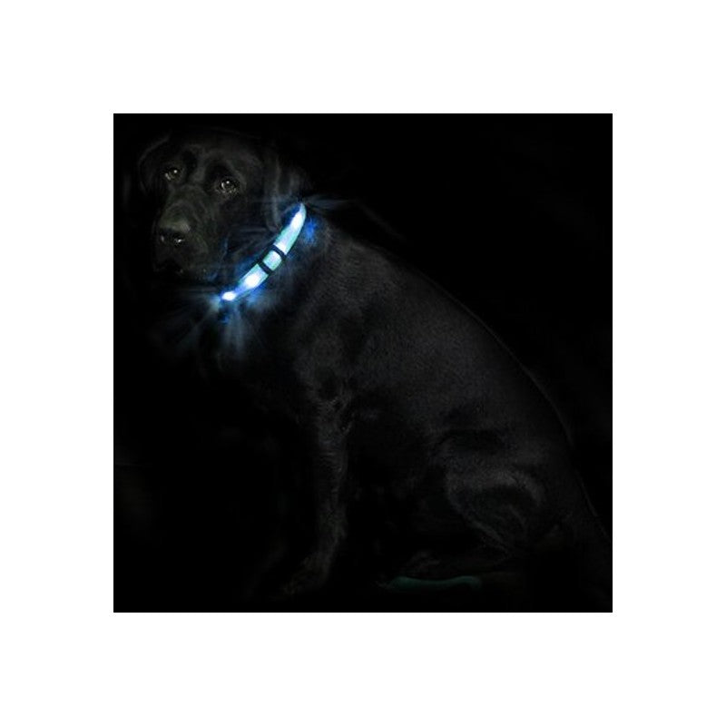 LED-Halsband Cash1 Blau