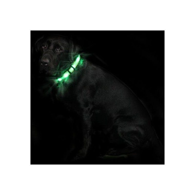 LED-Halsband Cash1 Grün