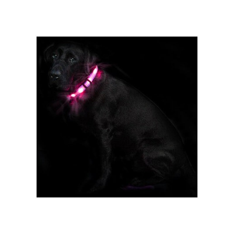 LED-Halsband Cash1 Rosa