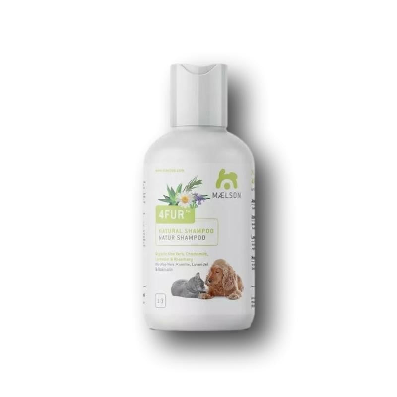 Maelson Shampoo AloeVera Kamille, Lavendel, Rosmarin