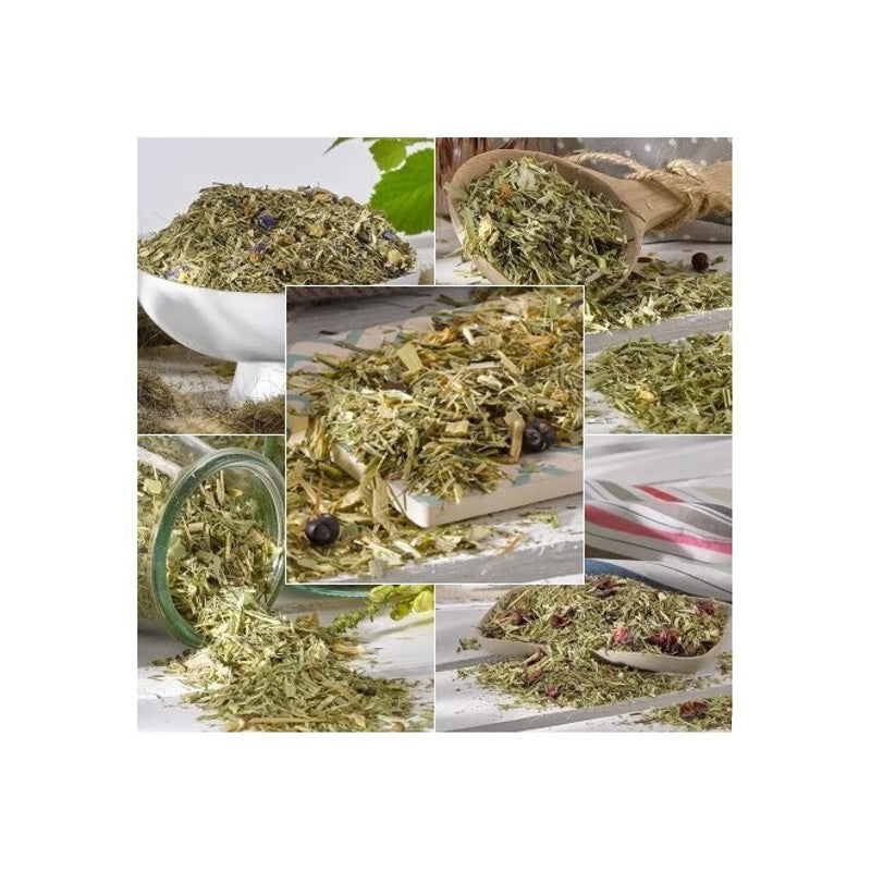 OKAPI Vierjahreszeitenfutter Abo