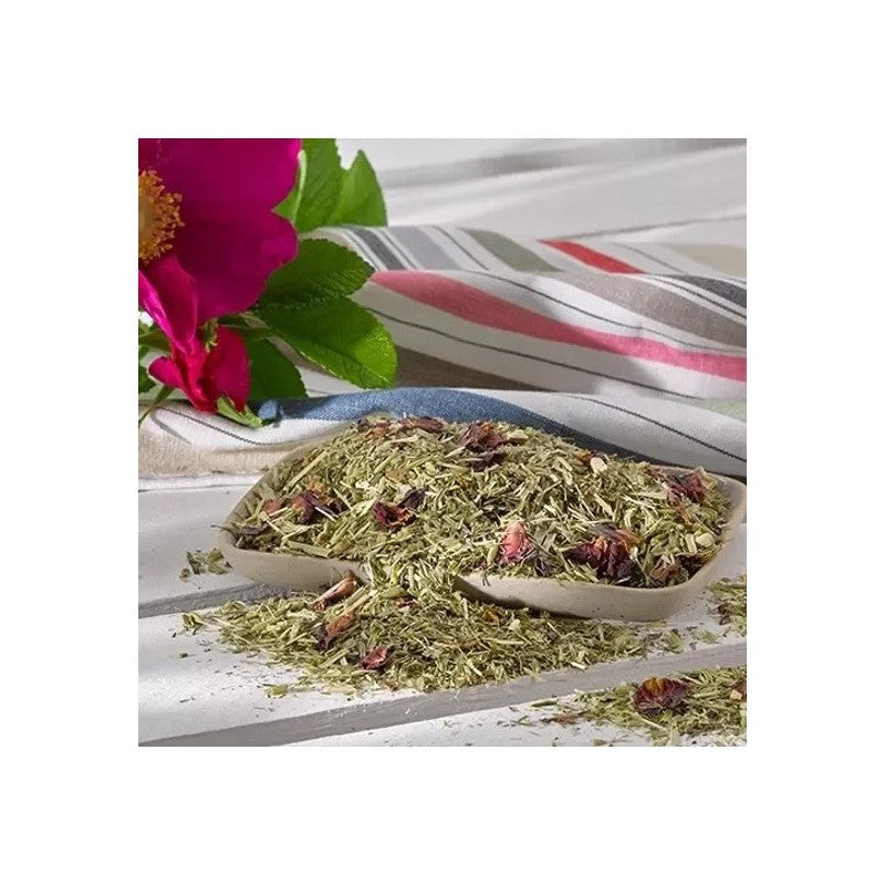 OKAPI Vierjahreszeitenfutter Weidestart