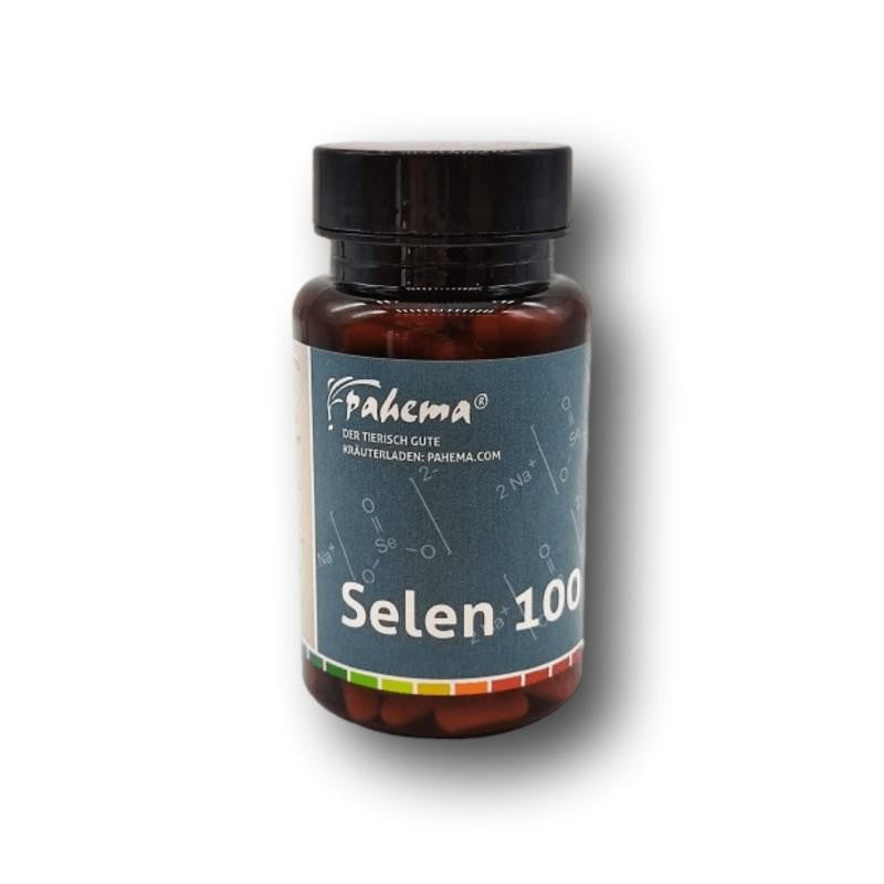 Dr. Weyrauch Nr.4 Valeur d'or (chien)