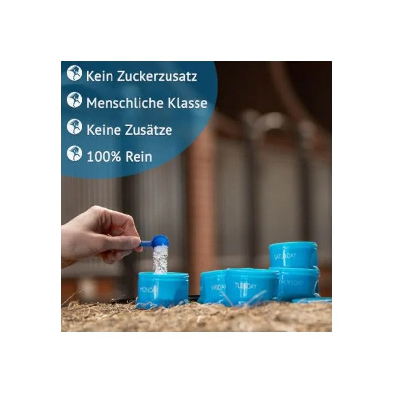 PharmaHorse Magnesium Vitamine B Complex