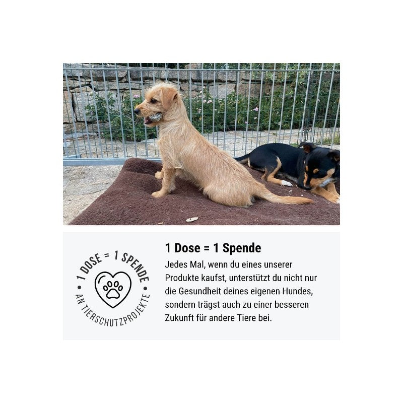 Tales & Tails No.1 Pince à ventriloque